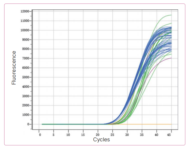 adenovirus-and-type-3-4-7-nucleic-acid-detection-kit-fluorescent-pcr-detail-1.jpg