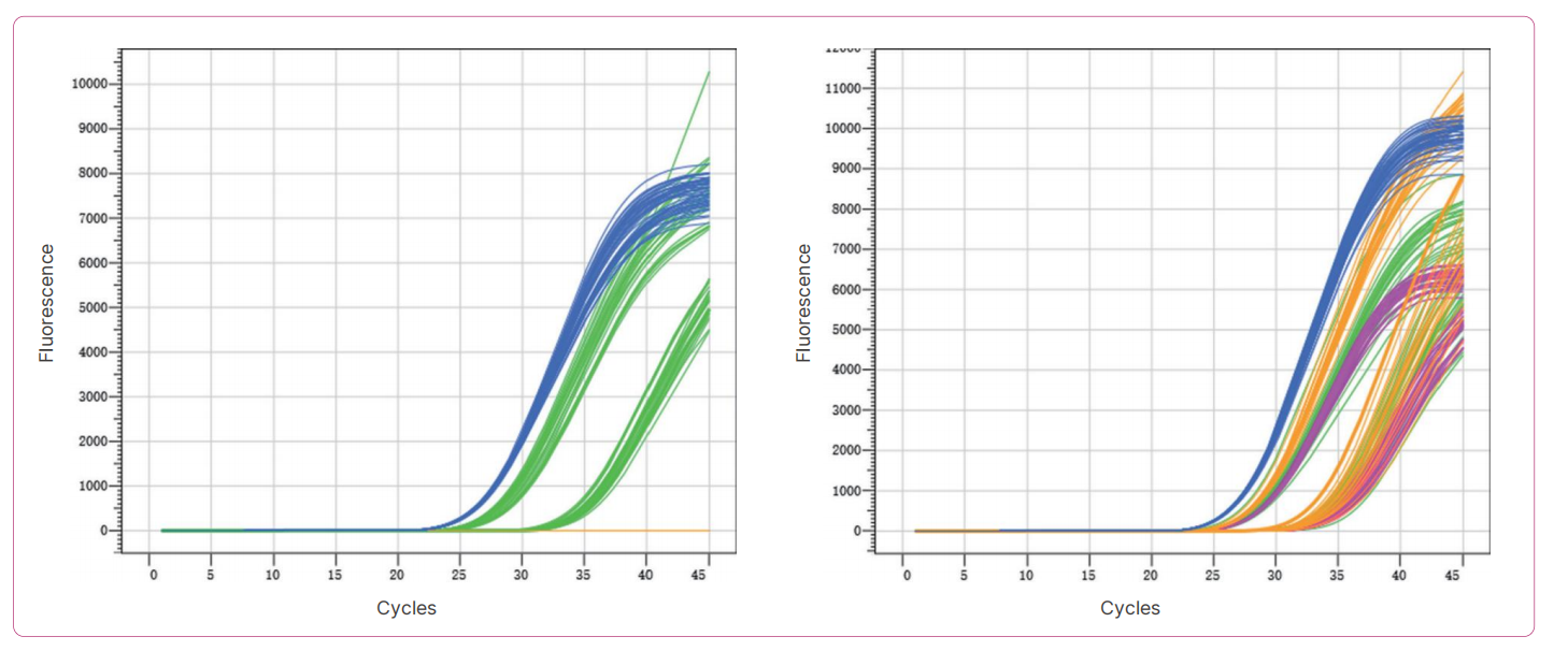 adenovirus-and-type-3-4-7-nucleic-acid-detection-kit-fluorescent-pcr-detail-2.jpg