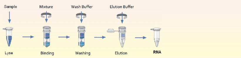 biofastspin-soil-stool-genomic-dna-rna-extraction-kit-detail-1.png