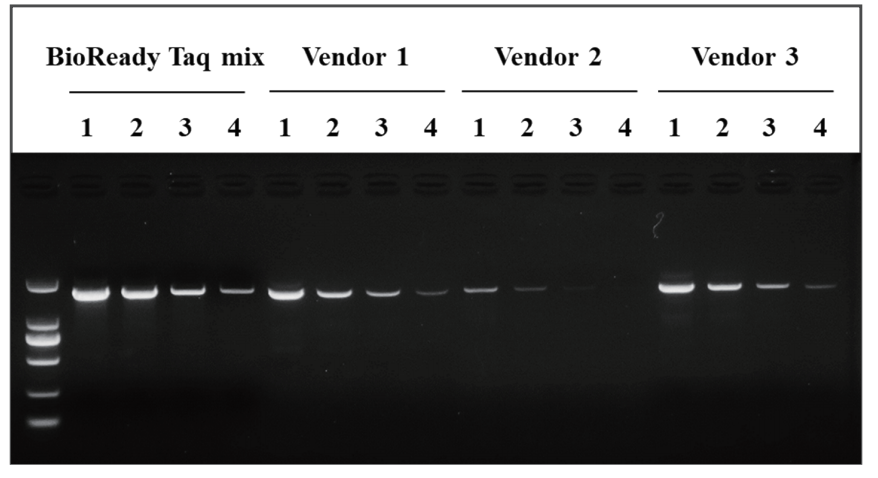 bioready-taq-mix-bioready-taq-mix-with-dye-detail-2.jpg
