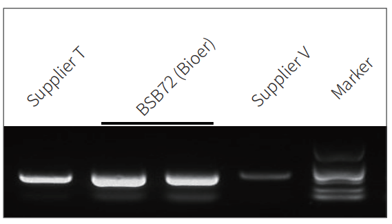 biort-master-one-step-rt-pcr-kit-with-dye-detail-1.jpg