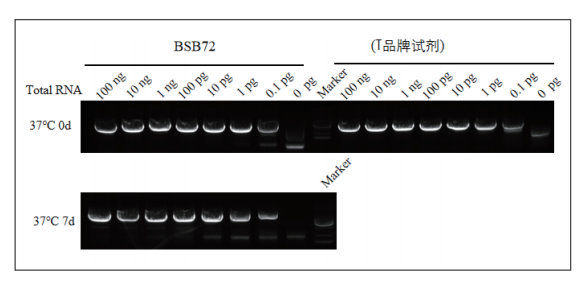 biort-master-one-step-rt-pcr-kit-with-dye-detail-2.jpg