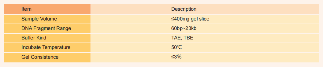 biospin-gel-extraction-kit-detail-2.png