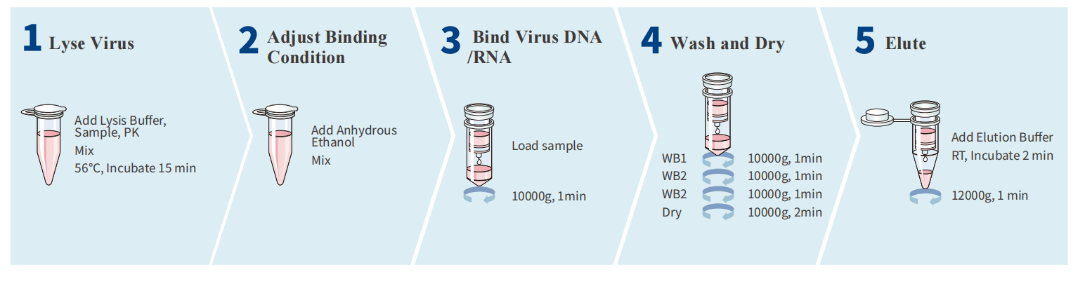biospin-virus-dna-rna-extraction-kit-detail-1.jpg