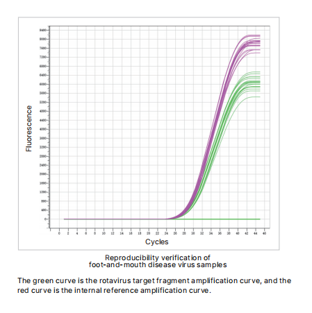 foot-and-mouth-disease-virus-universal-nucleic-acid-detection-kit-fluorescent-pcr-method-detail-2.jpg