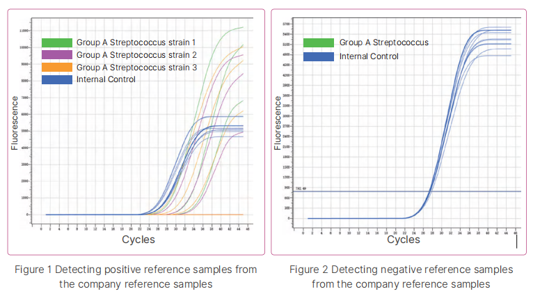group-a-streptococcus-nucleic-acid-detection-kit-fluorescence-pcr-detail-1.jpg