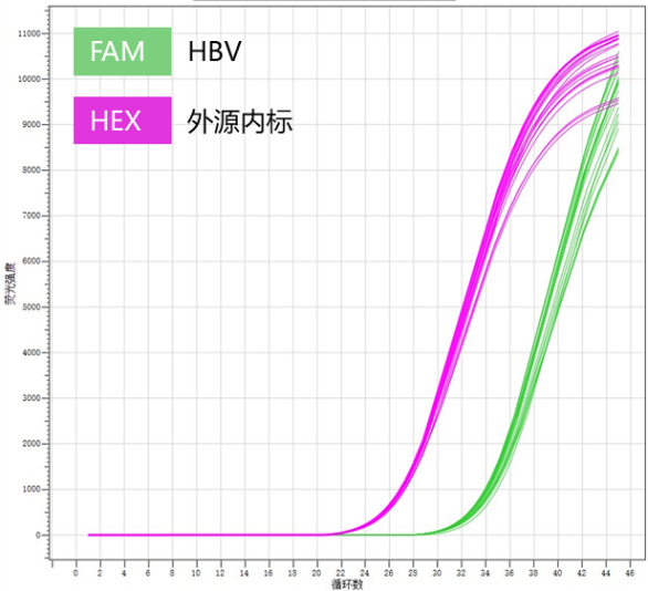 hbv-pcr-fluorescence-quantitative-detection-kit-detail-1.png