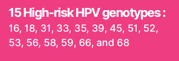 hpv-nucleic-acid-detection-and-16-18-genotyping-kit-fluorescent-pcr-detail-1.png