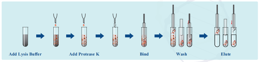 maga-bio-forensic-sample-dna-purification-kit-detail-1.png