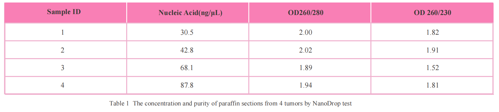 magabio-ffpe-tissue-genomic-dna-purification-kit-detail-2.png