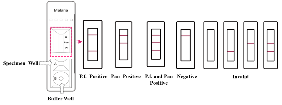 malaria-p-f-pan-antigen-rapid-test-kit-colloidal-gold-method-detail-1.png