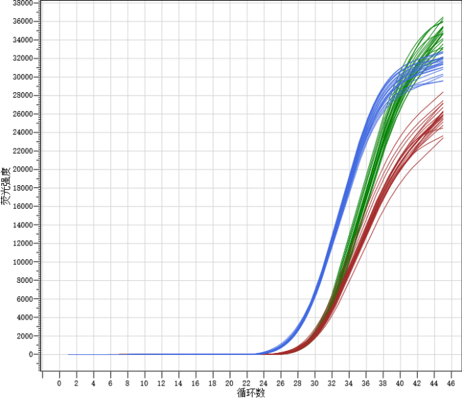 porcine-prrs-virus-nucleic-acid-detection-kits-detail-1.jpg