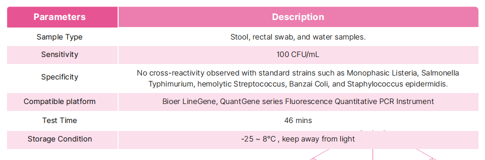 staphylococcus-aureus-lyophilized-nucleic-acid-detection-kit-fluorescence-pcr-detail-2.png