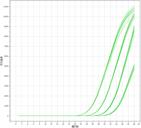 vibrio-cholerae-nucleic-acid-detection-kit-fluorescence-pcr-detail-1.jpg