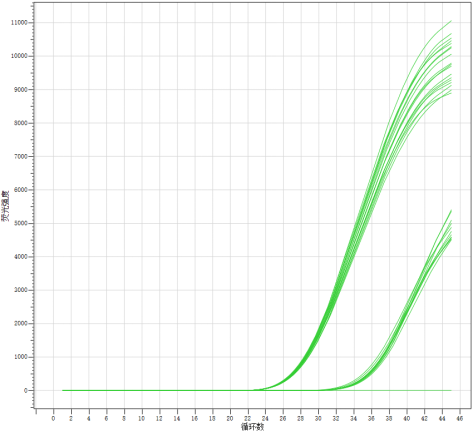 vibrio-cholerae-nucleic-acid-detection-kit-fluorescence-pcr-detail-2.jpg