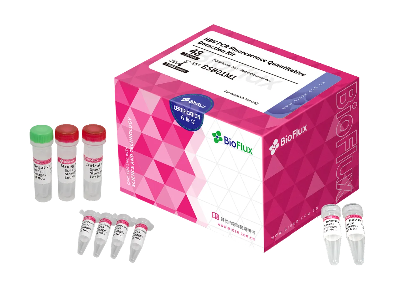 HBV PCR Fluorescence Quantitative Detection Kit
