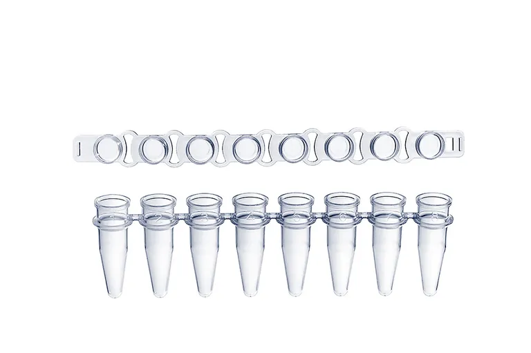 PCR 8-Strip Tube thumbnail 6