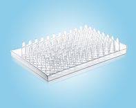 PCR Plate thumbnail 2
