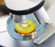 Food Safety
