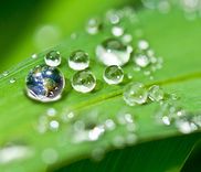 环境微生物检测