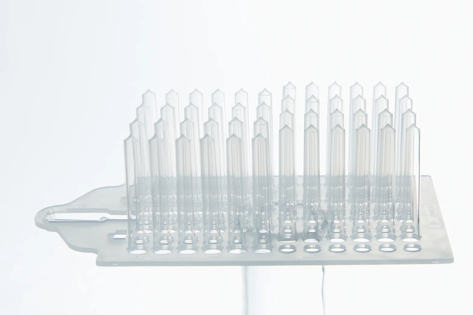PCR Plate thumbnail 5
