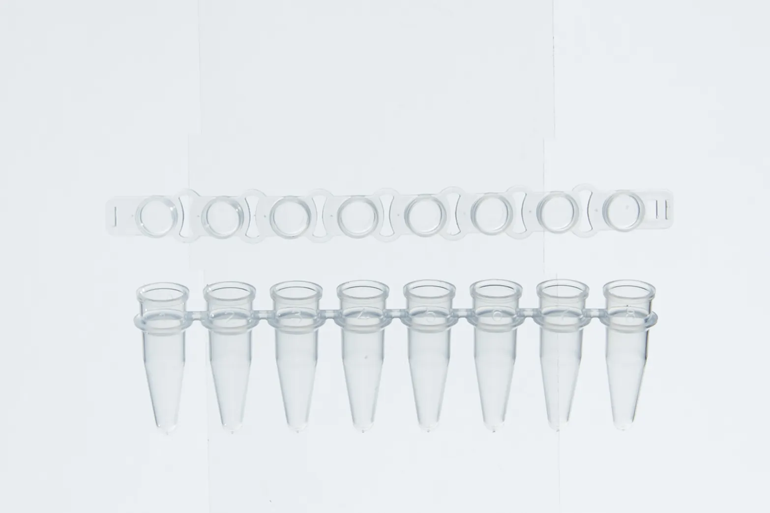 PCR 8-Strip Tube thumbnail 2