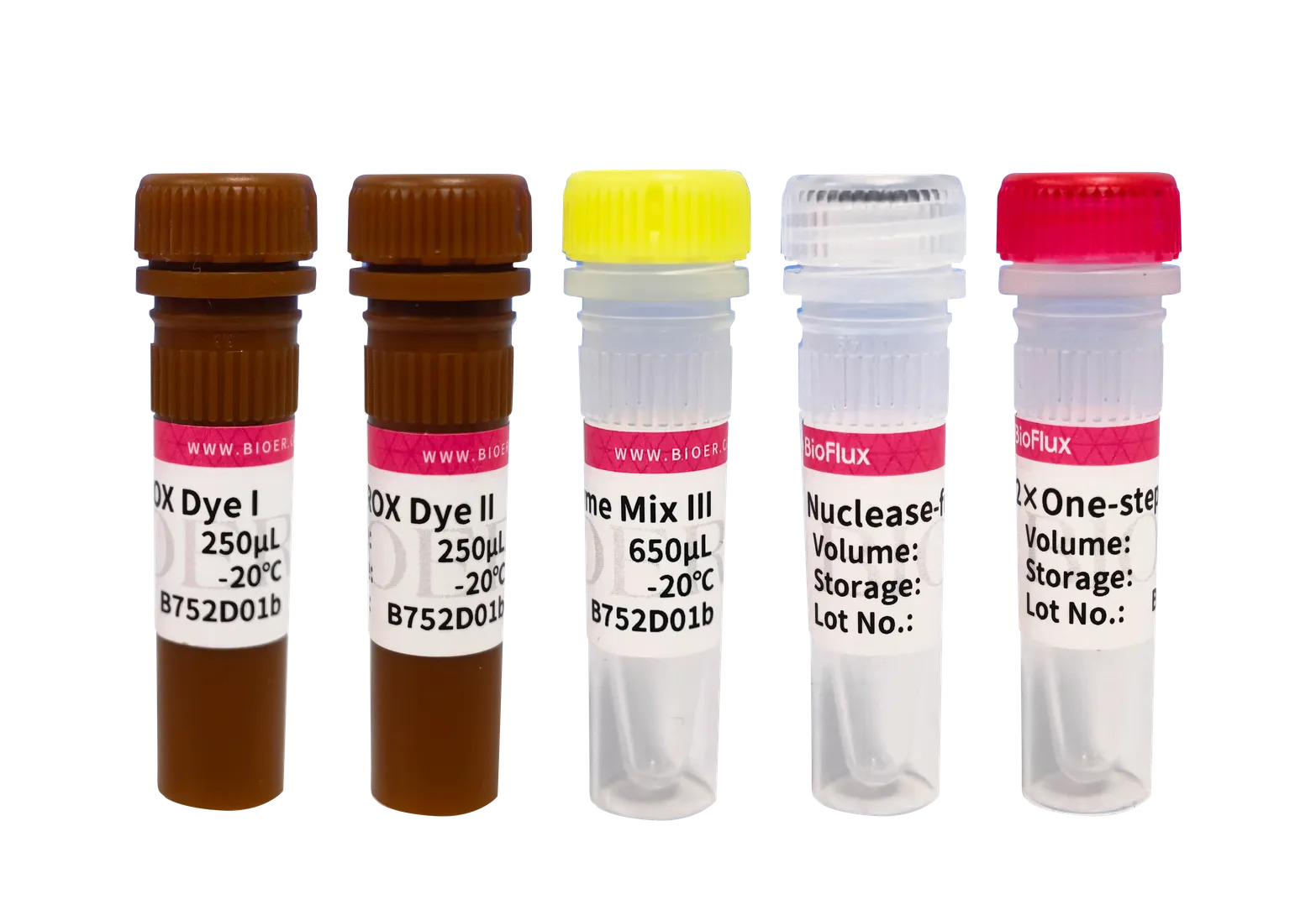 BioRT One-step RT-qPCR Kit (UDG plus)