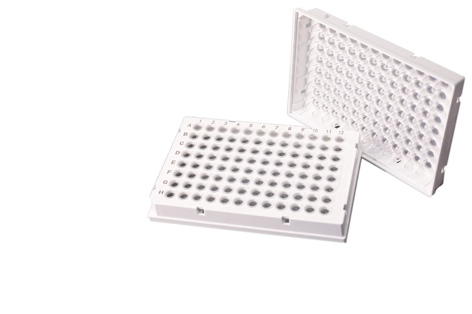 Hard-Frame 0.1 ml 96 Well Full Skirted PCR Plate