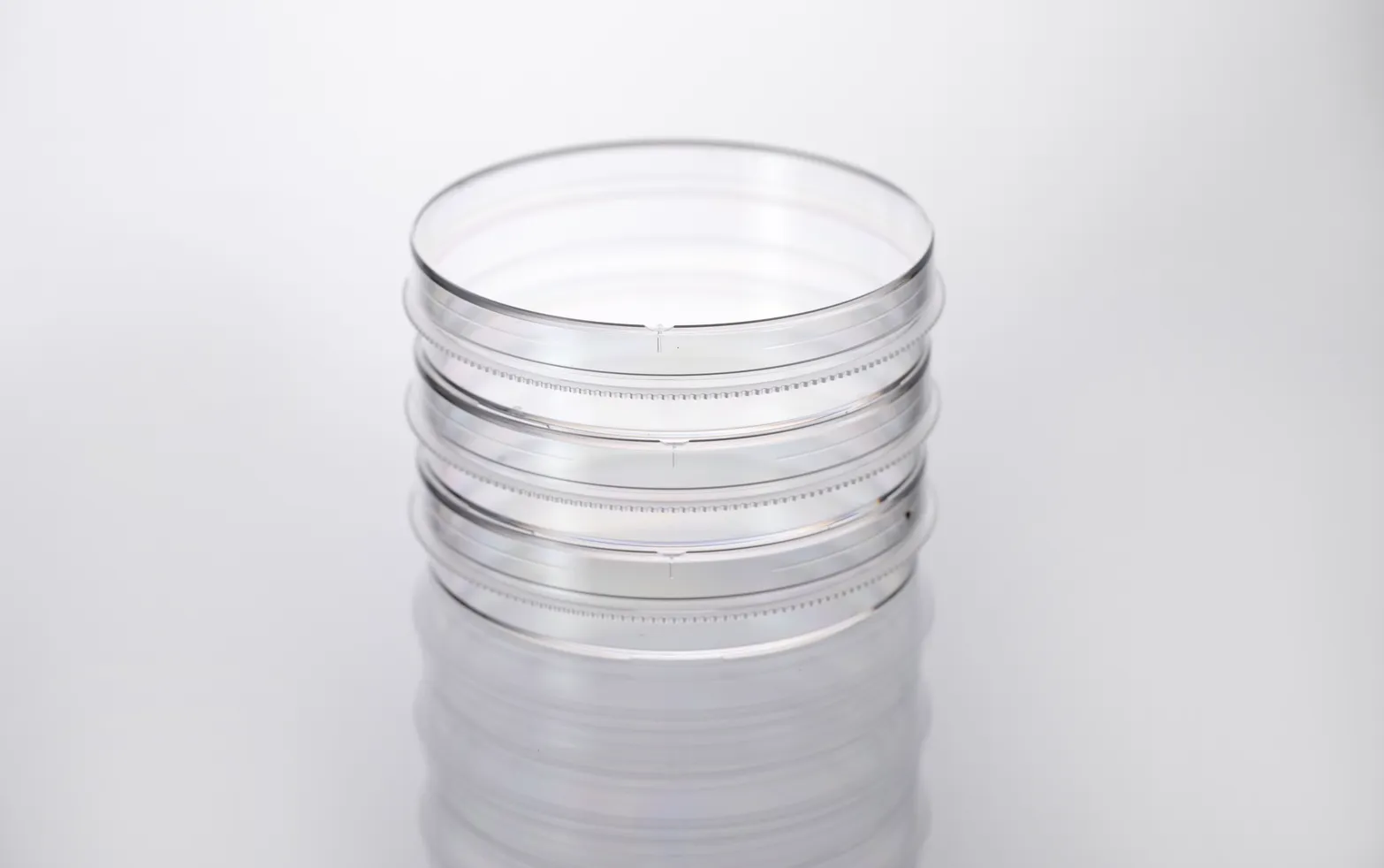 Cell Culture Dish thumbnail 2