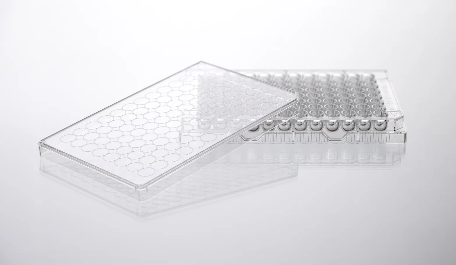 Cell Culture Plate