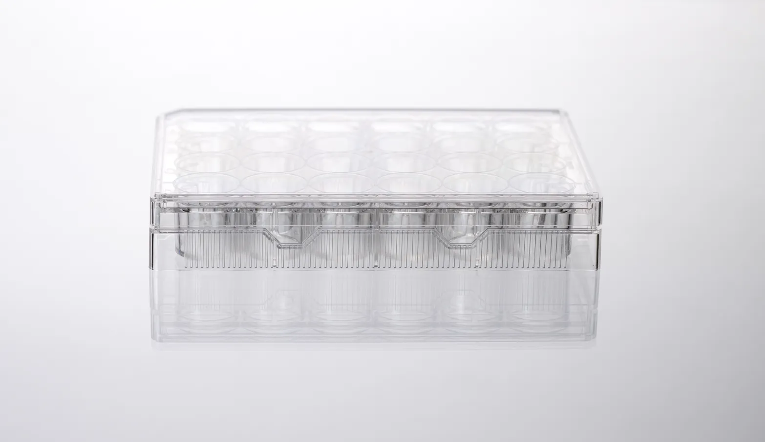 Cell Culture Plate thumbnail 2
