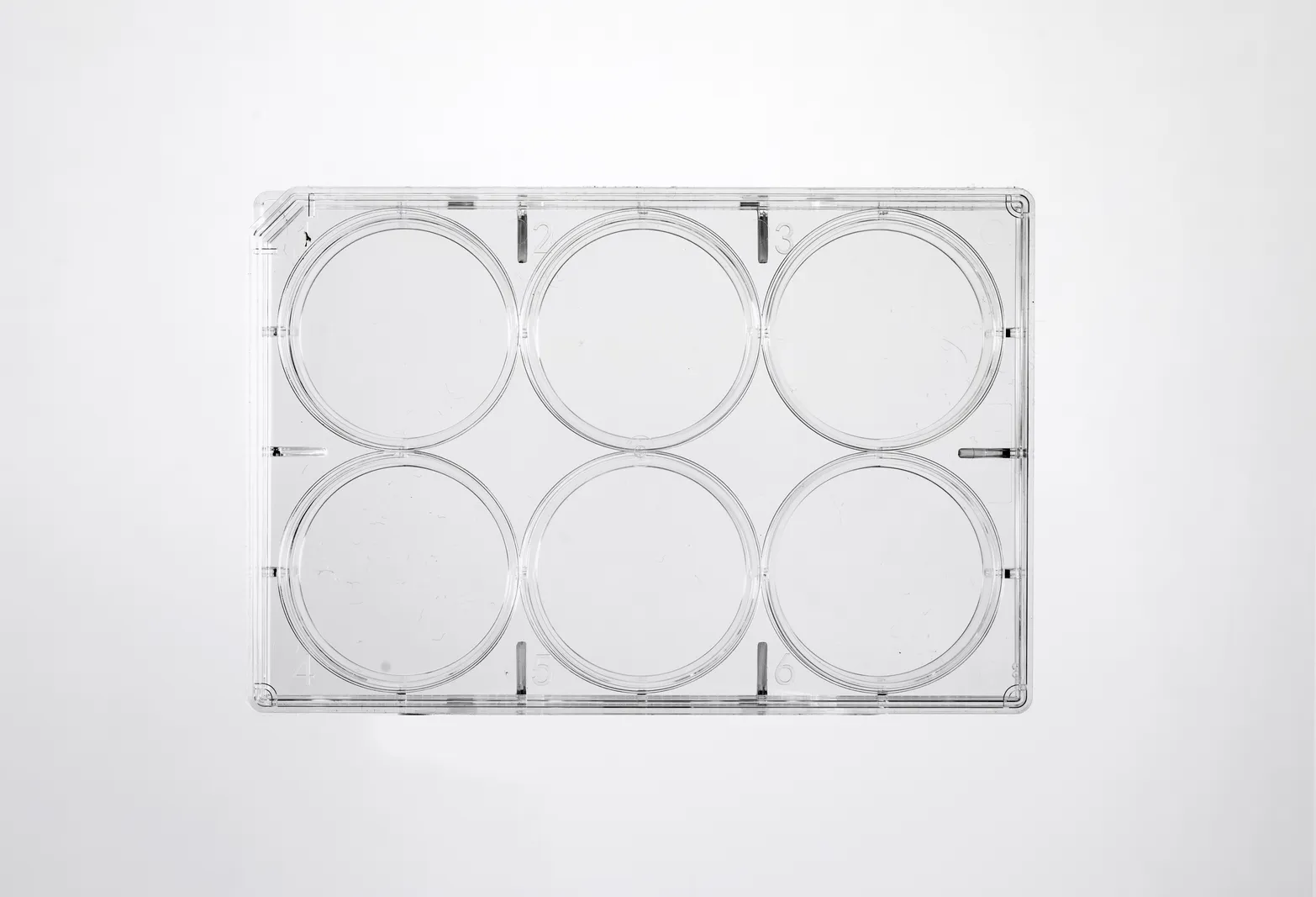 Cell Culture Plate thumbnail 5