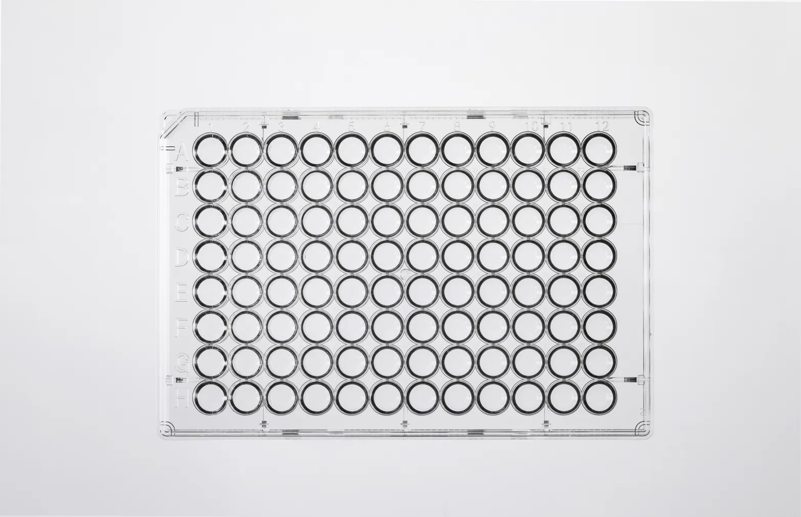 Cell Culture Plate thumbnail 4